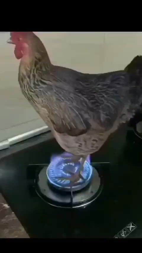 https://c.kaskus.id/media/videos/thumbnail/azfy4_thumbnail.jpg