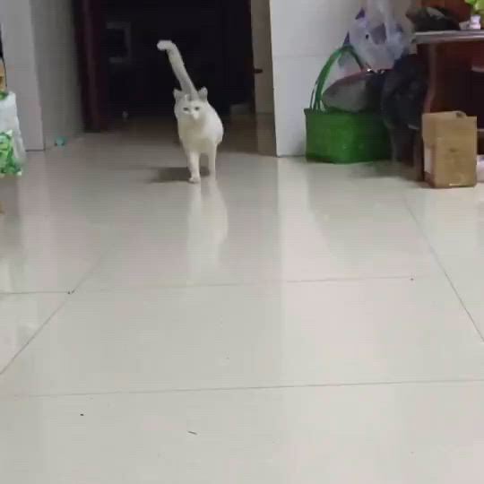 https://c.kaskus.id/media/videos/thumbnail/b3sp6_thumbnail.jpg