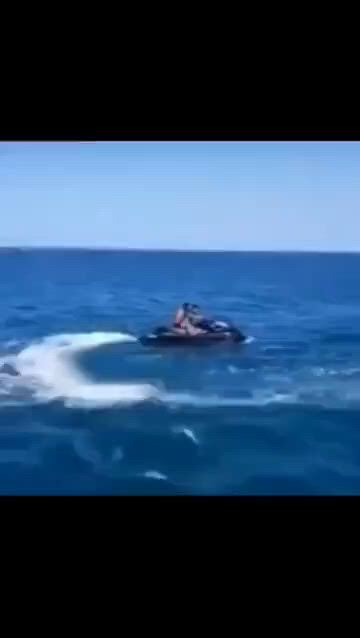 https://c.kaskus.id/media/videos/thumbnail/biaf9_thumbnail.jpg