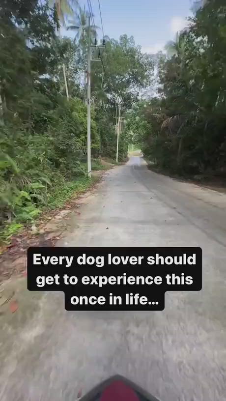https://c.kaskus.id/media/videos/thumbnail/bjcf1_thumbnail.jpg