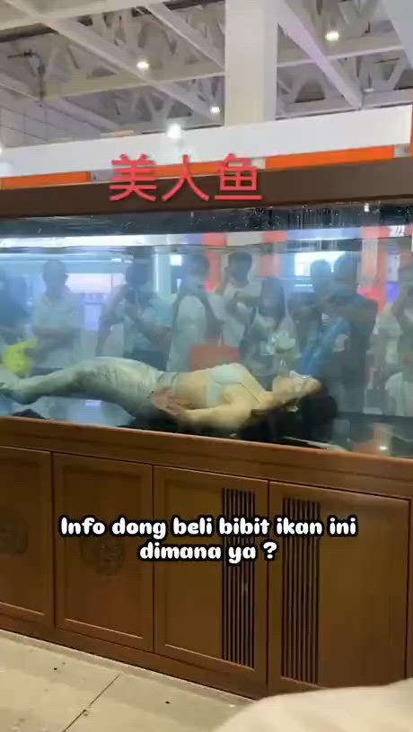 https://c.kaskus.id/media/videos/thumbnail/bssn4_thumbnail.jpg
