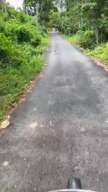 https://c.kaskus.id/media/videos/thumbnail/bswjy_thumbnail.jpg