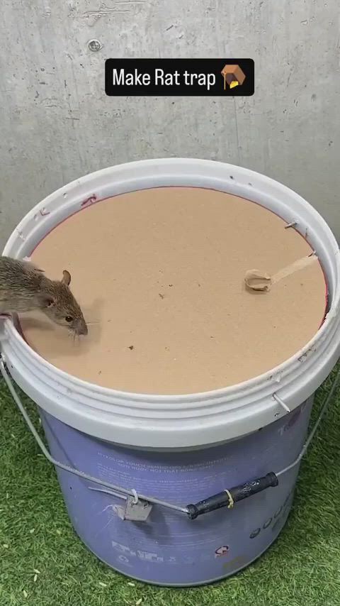 https://c.kaskus.id/media/videos/thumbnail/bvrhp_thumbnail.jpg