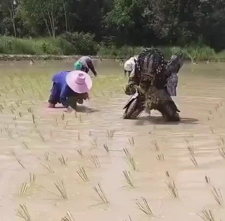 https://c.kaskus.id/media/videos/thumbnail/bznqa_thumbnail.jpg