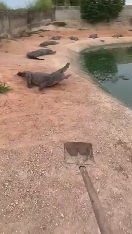 https://c.kaskus.id/media/videos/thumbnail/c6qrw_thumbnail.jpg