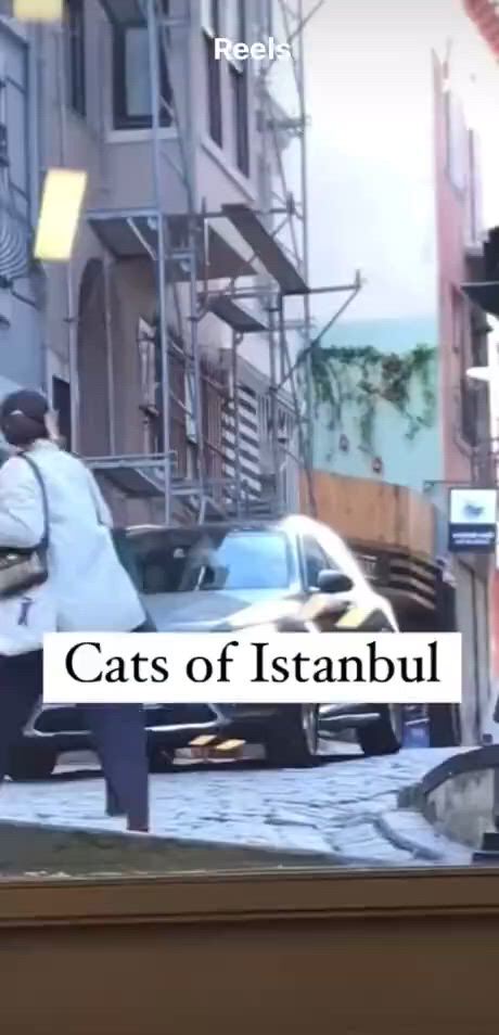 https://c.kaskus.id/media/videos/thumbnail/ck7o2_thumbnail.jpg