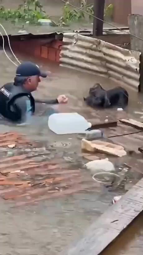 https://c.kaskus.id/media/videos/thumbnail/cqflt_thumbnail.jpg