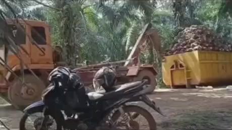https://c.kaskus.id/media/videos/thumbnail/dpsqw_thumbnail.jpg