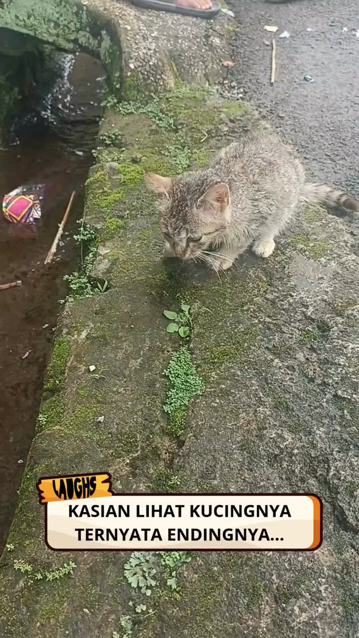 https://c.kaskus.id/media/videos/thumbnail/egh7r_thumbnail.jpg