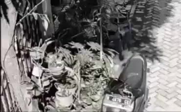 https://c.kaskus.id/media/videos/thumbnail/etcye_thumbnail.jpg