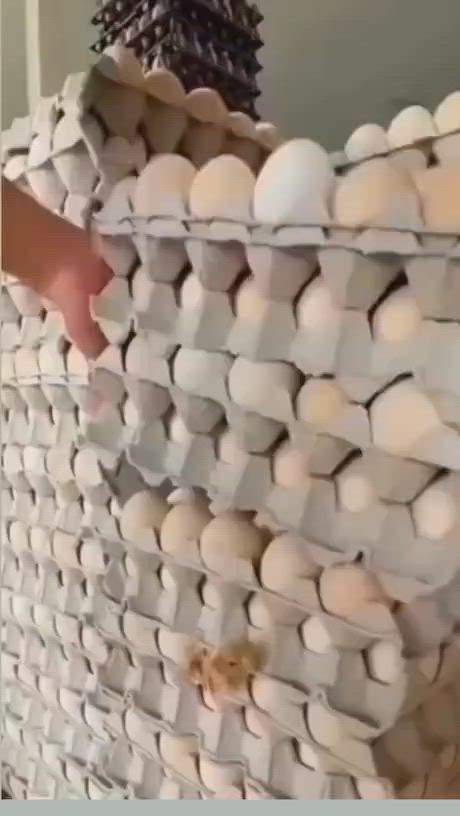 https://c.kaskus.id/media/videos/thumbnail/eya8t_thumbnail.jpg