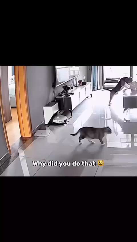 https://c.kaskus.id/media/videos/thumbnail/f3uet_thumbnail.jpg