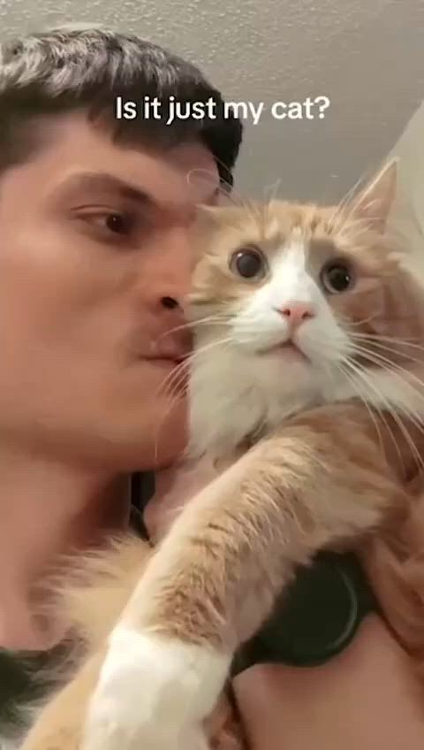 https://c.kaskus.id/media/videos/thumbnail/fjpgb_thumbnail.jpg