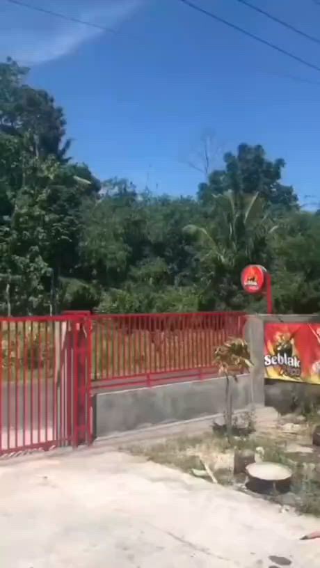 https://c.kaskus.id/media/videos/thumbnail/fkvpg_thumbnail.jpg