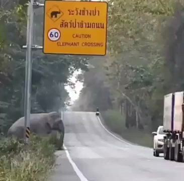 https://c.kaskus.id/media/videos/thumbnail/fmyfq_thumbnail.jpg