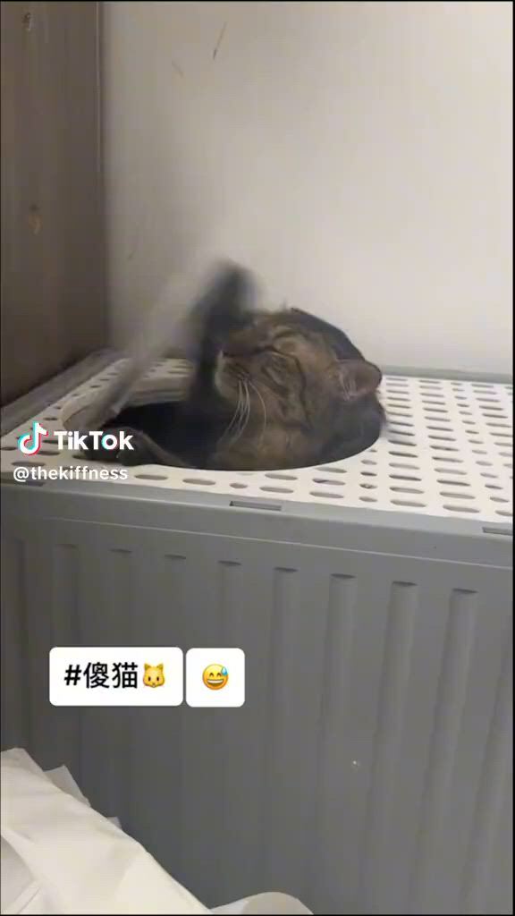 https://c.kaskus.id/media/videos/thumbnail/gjoko_thumbnail.jpg