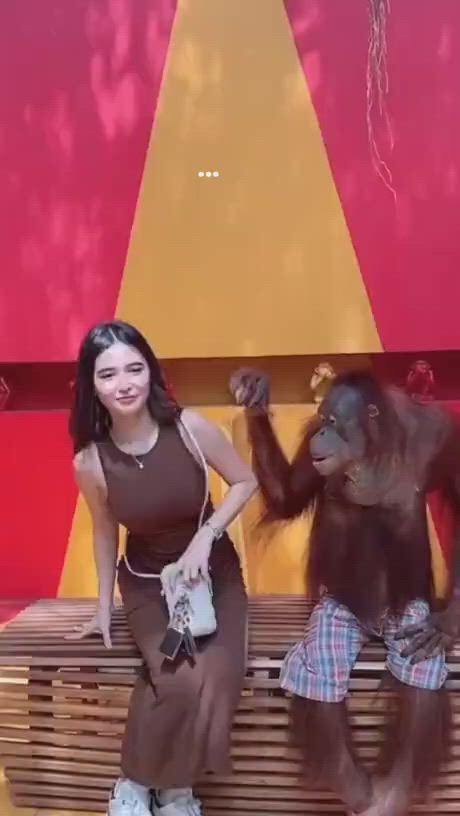 https://c.kaskus.id/media/videos/thumbnail/gmc4x_thumbnail.jpg