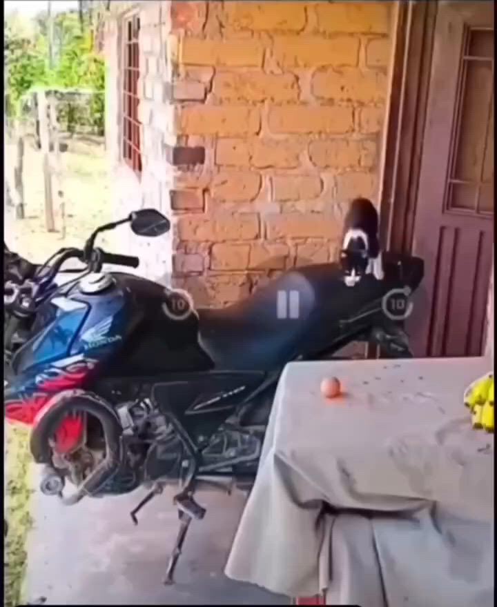 https://c.kaskus.id/media/videos/thumbnail/hcvqs_thumbnail.jpg
