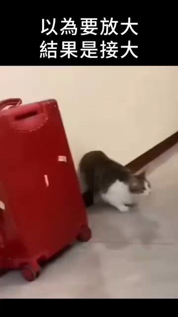 https://c.kaskus.id/media/videos/thumbnail/hk6ii_thumbnail.jpg