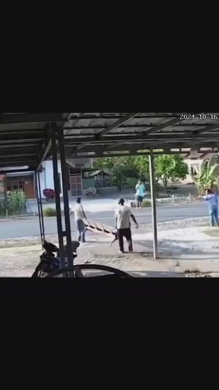 https://c.kaskus.id/media/videos/thumbnail/hlj3r_thumbnail.jpg