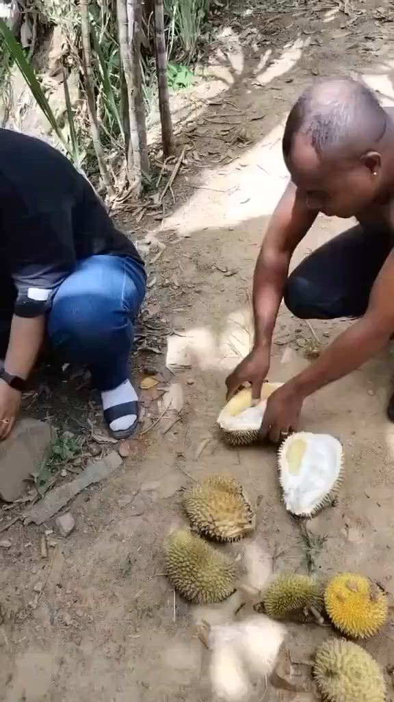 https://c.kaskus.id/media/videos/thumbnail/hxe5q_thumbnail.jpg