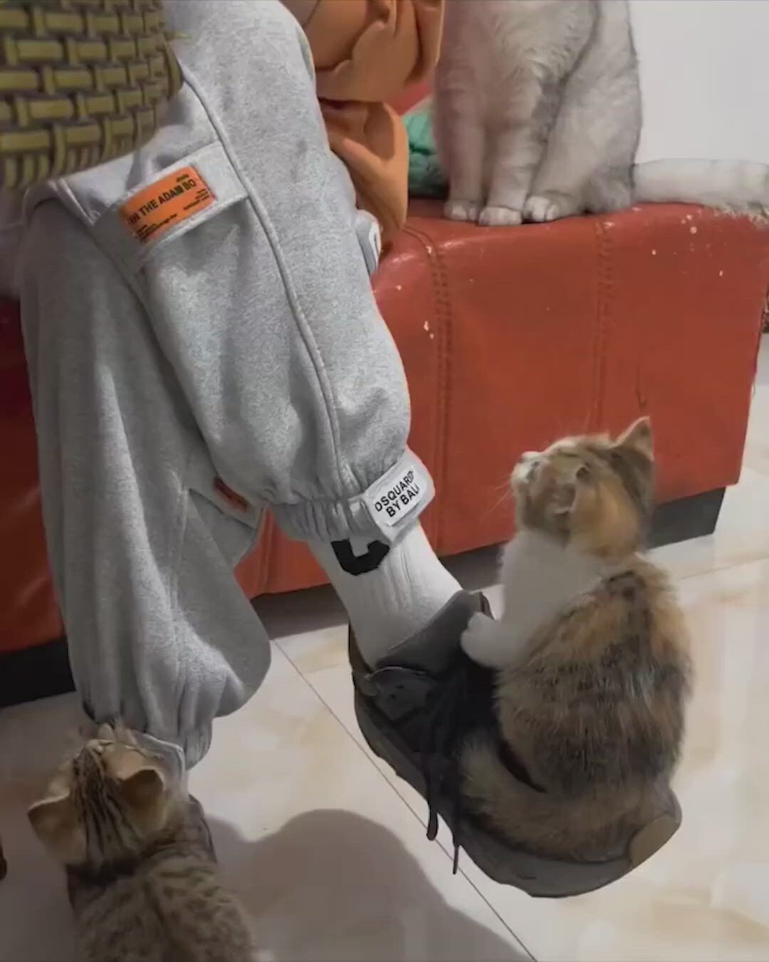 https://c.kaskus.id/media/videos/thumbnail/imvuv_thumbnail.jpg