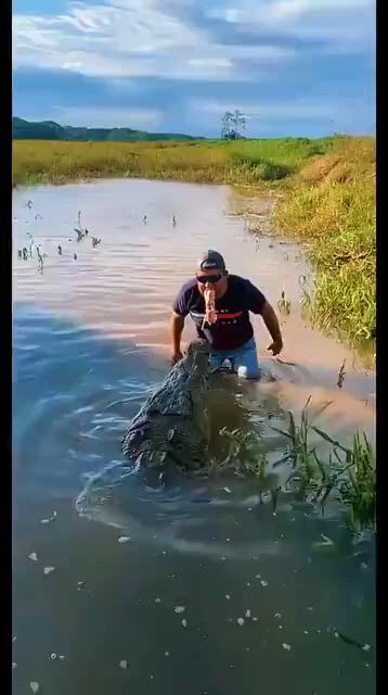 https://c.kaskus.id/media/videos/thumbnail/ioeqh_thumbnail.jpg