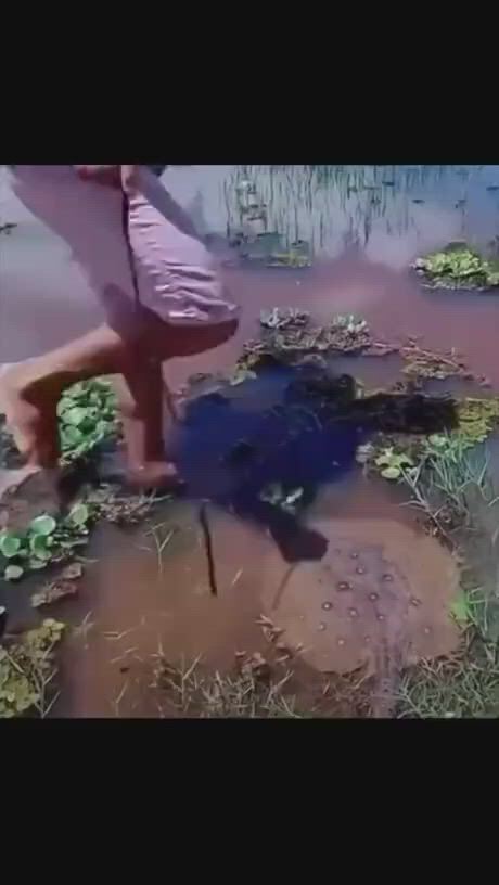 https://c.kaskus.id/media/videos/thumbnail/jdook_thumbnail.jpg