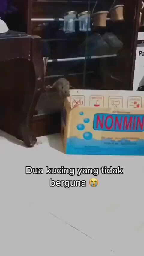https://c.kaskus.id/media/videos/thumbnail/jhk06_thumbnail.jpg