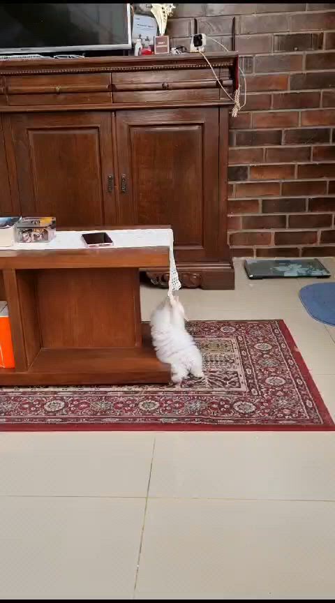 https://c.kaskus.id/media/videos/thumbnail/jnn2h_thumbnail.jpg