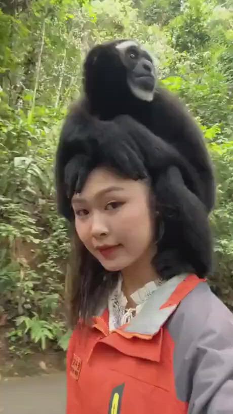 https://c.kaskus.id/media/videos/thumbnail/johoq_thumbnail.jpg