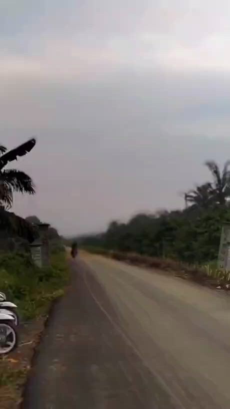 https://c.kaskus.id/media/videos/thumbnail/jugx2_thumbnail.jpg