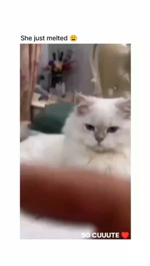 https://c.kaskus.id/media/videos/thumbnail/jyzif_thumbnail.jpg