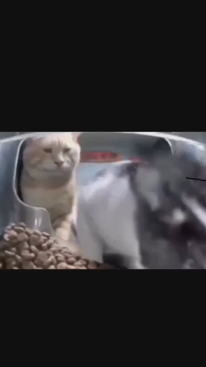 https://c.kaskus.id/media/videos/thumbnail/jzyj9_thumbnail.jpg