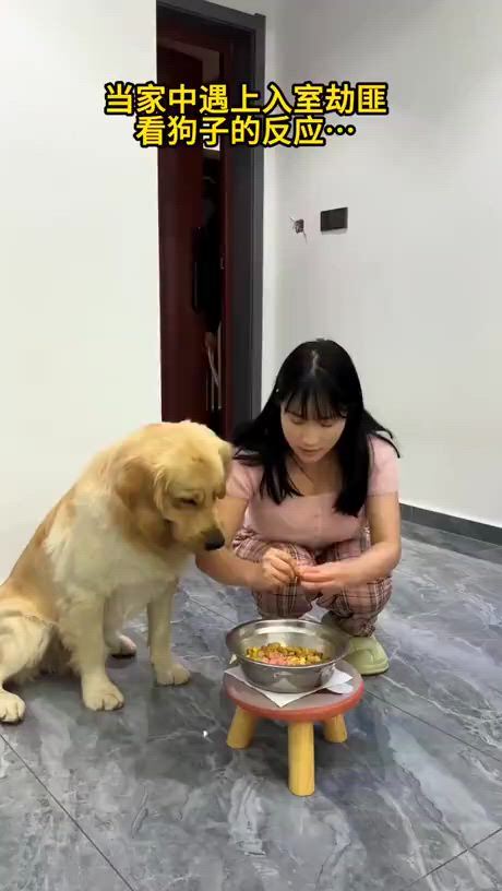 https://c.kaskus.id/media/videos/thumbnail/ko8dg_thumbnail.jpg