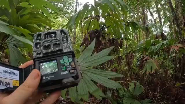 https://c.kaskus.id/media/videos/thumbnail/kucgi_thumbnail.jpg