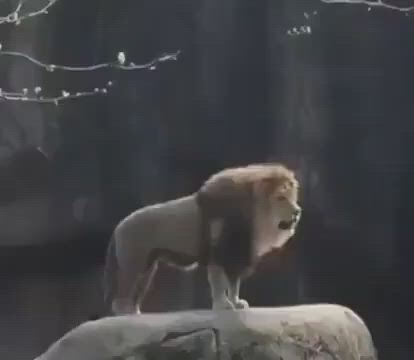 https://c.kaskus.id/media/videos/thumbnail/l4gyl_thumbnail.jpg