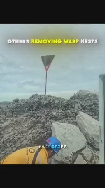 https://c.kaskus.id/media/videos/thumbnail/lmgka_thumbnail.jpg