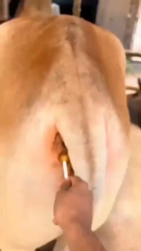 https://c.kaskus.id/media/videos/thumbnail/lr3zl_thumbnail.jpg