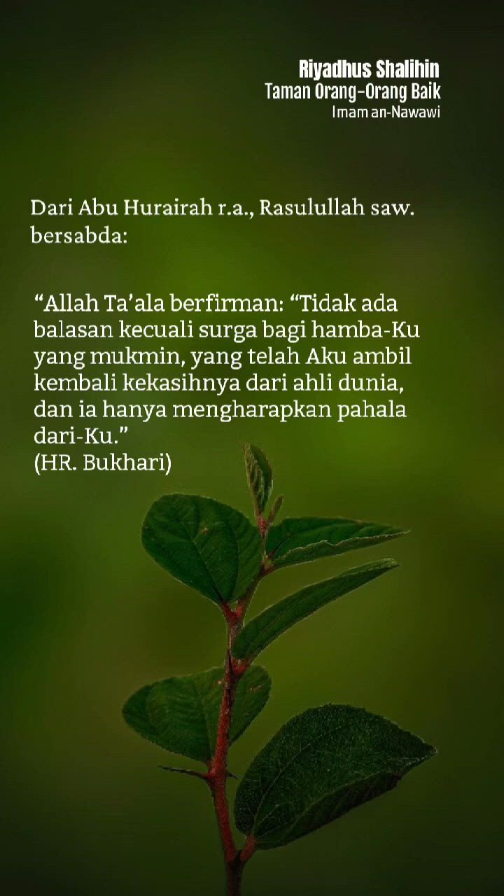https://c.kaskus.id/media/videos/thumbnail/ltgik_thumbnail.jpg