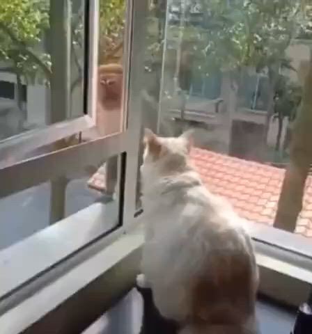 https://c.kaskus.id/media/videos/thumbnail/mklhe_thumbnail.jpg