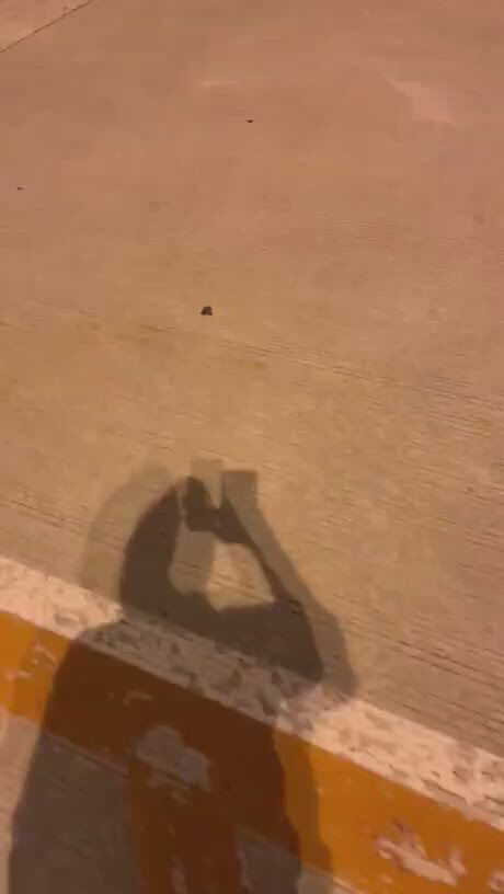 https://c.kaskus.id/media/videos/thumbnail/mottx_thumbnail.jpg