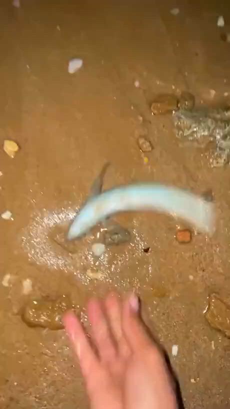 https://c.kaskus.id/media/videos/thumbnail/my21o_thumbnail.jpg