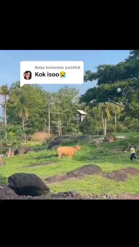 https://c.kaskus.id/media/videos/thumbnail/n4ge1_thumbnail.jpg