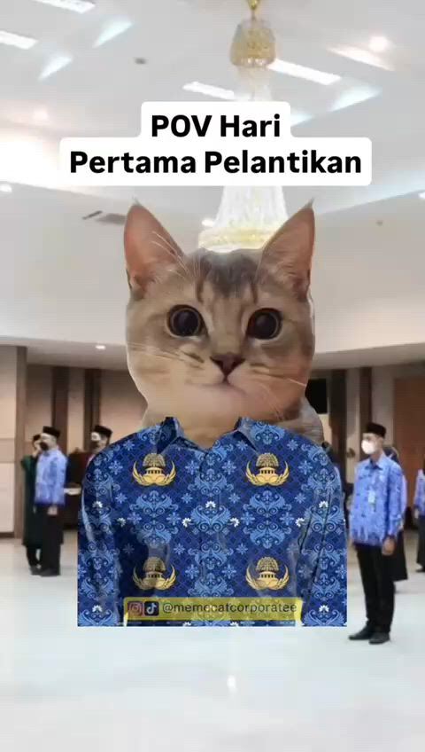 https://c.kaskus.id/media/videos/thumbnail/n5jeg_thumbnail.jpg