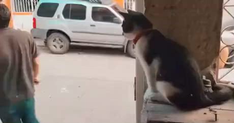 https://c.kaskus.id/media/videos/thumbnail/nd6yy_thumbnail.jpg