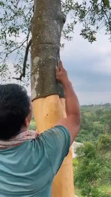 https://c.kaskus.id/media/videos/thumbnail/nmpih_thumbnail.jpg