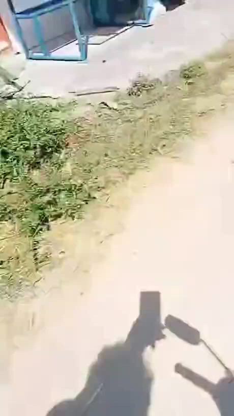 https://c.kaskus.id/media/videos/thumbnail/nq6ho_thumbnail.jpg