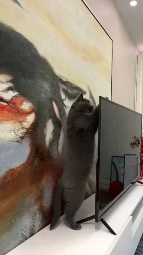 https://c.kaskus.id/media/videos/thumbnail/odkou_thumbnail.jpg