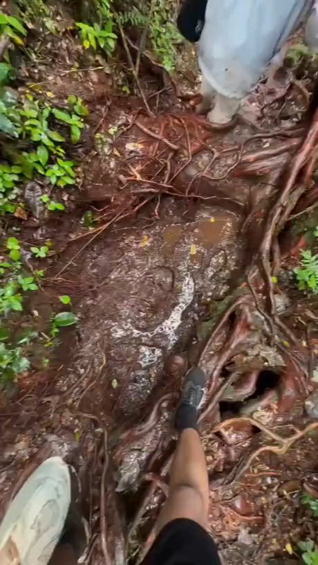 https://c.kaskus.id/media/videos/thumbnail/of83m_thumbnail.jpg